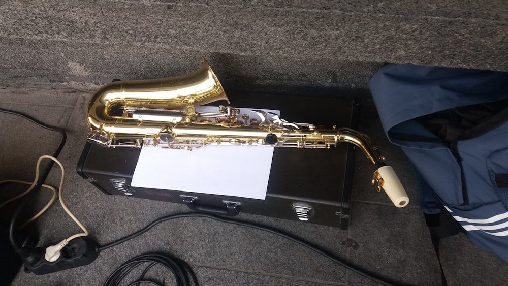 un saxophone posé sur un étui rigide