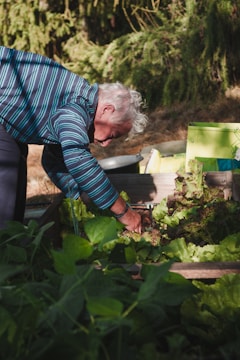 A cheerful senior woman receiving assistance with gardening from a friendly volunteer.