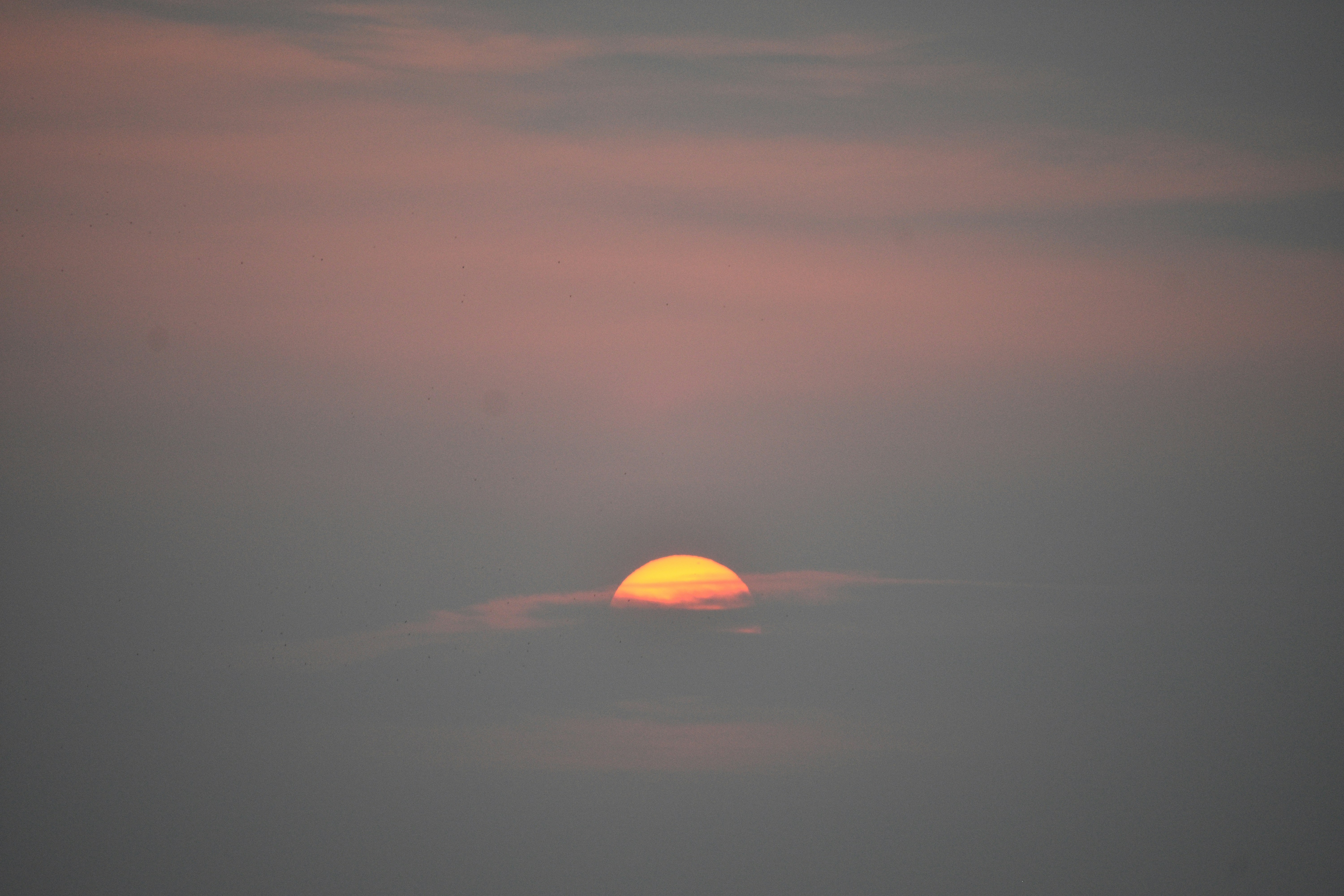 Photo by hellomdkamrul