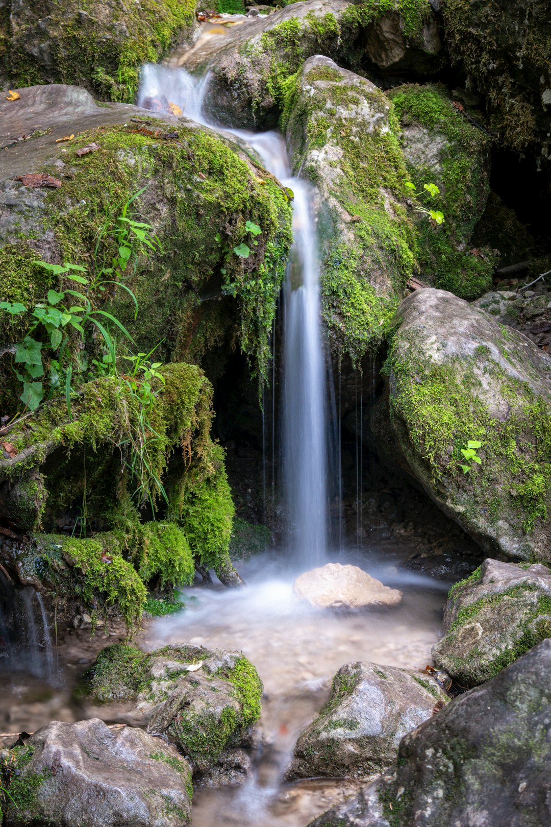 Ecoregion photo spot Muggendorf Mistelbach