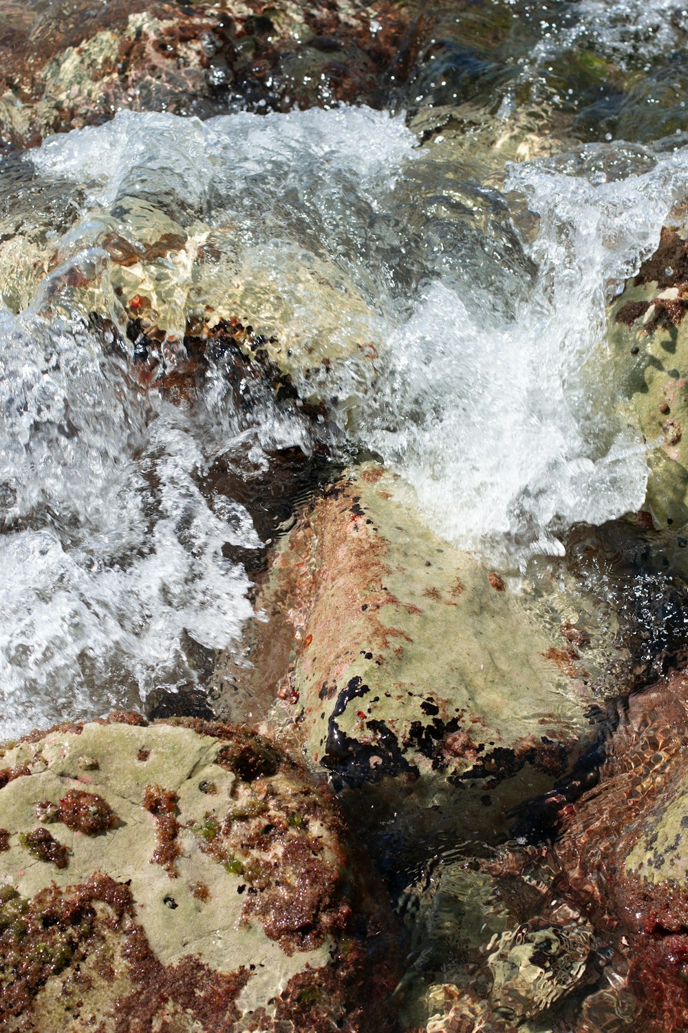a close up of rocks covered in water
