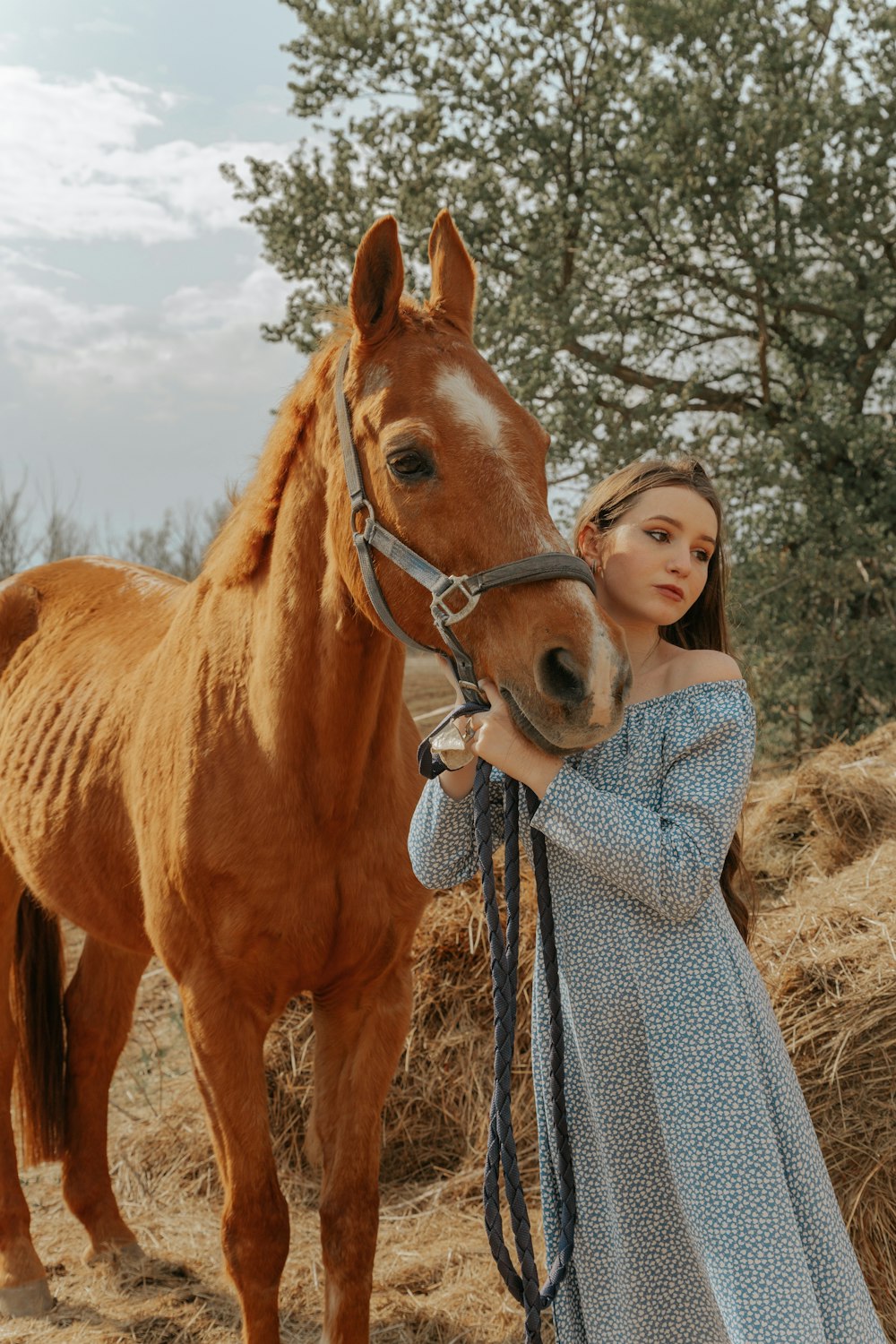 a woman standing next to a brown horse