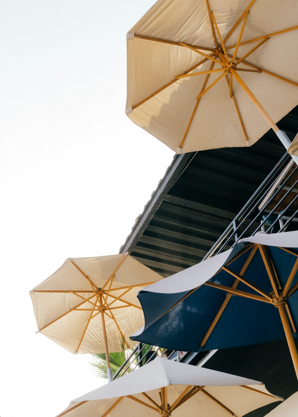 a bunch of umbrellas that are on the side of a building