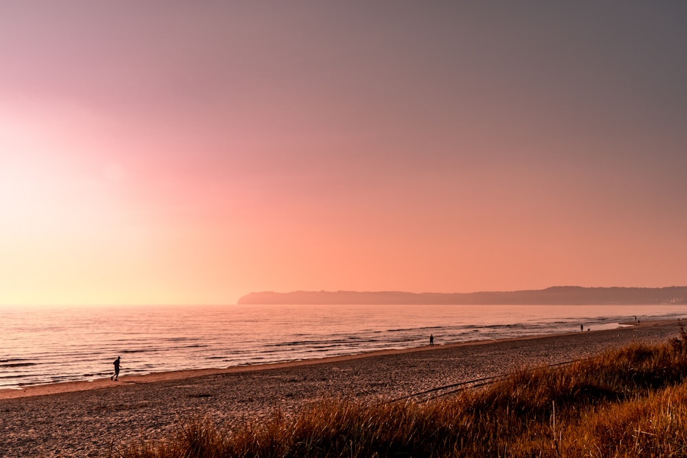 a person walking on a beach near the ocean