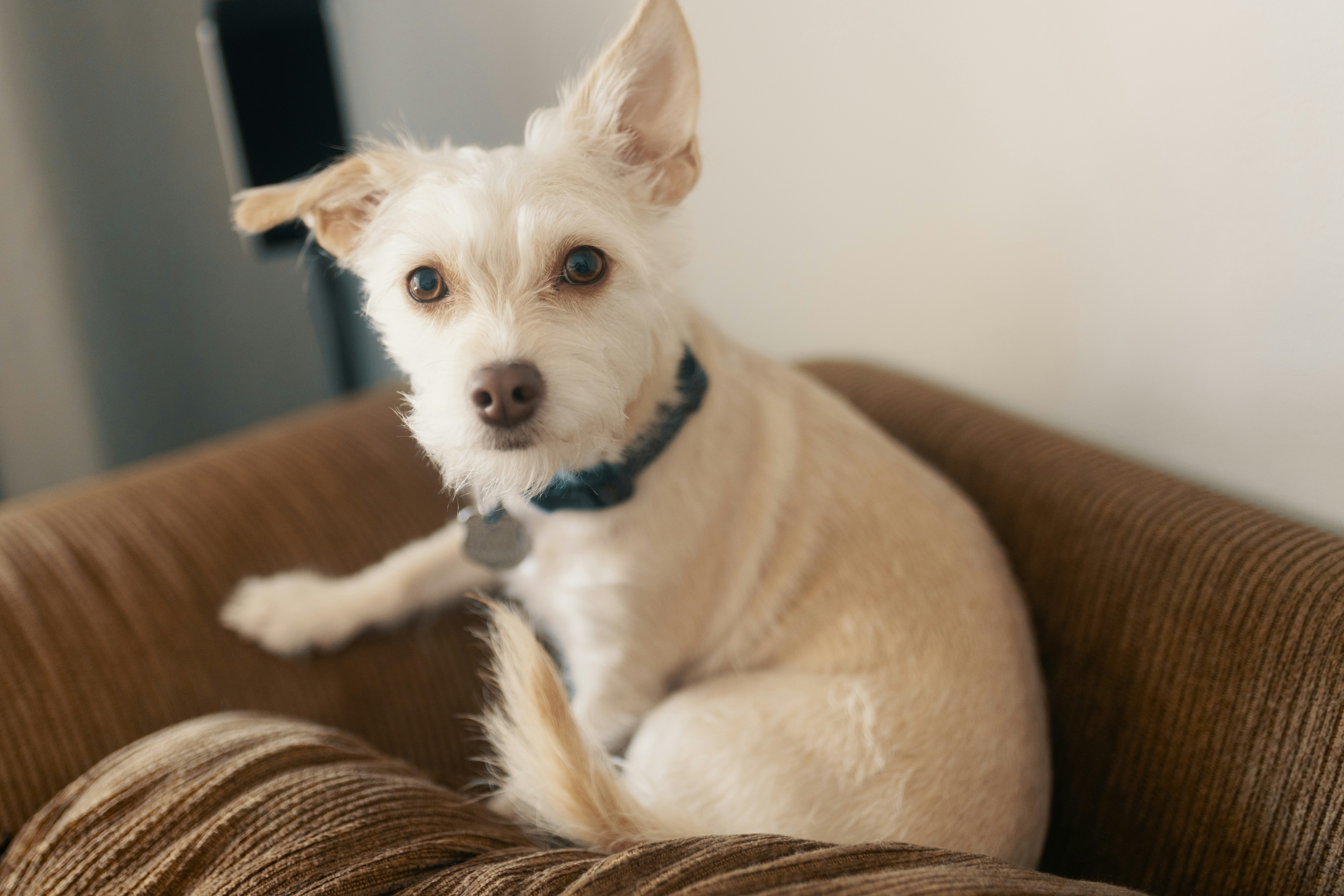 Photo by joshsorenson