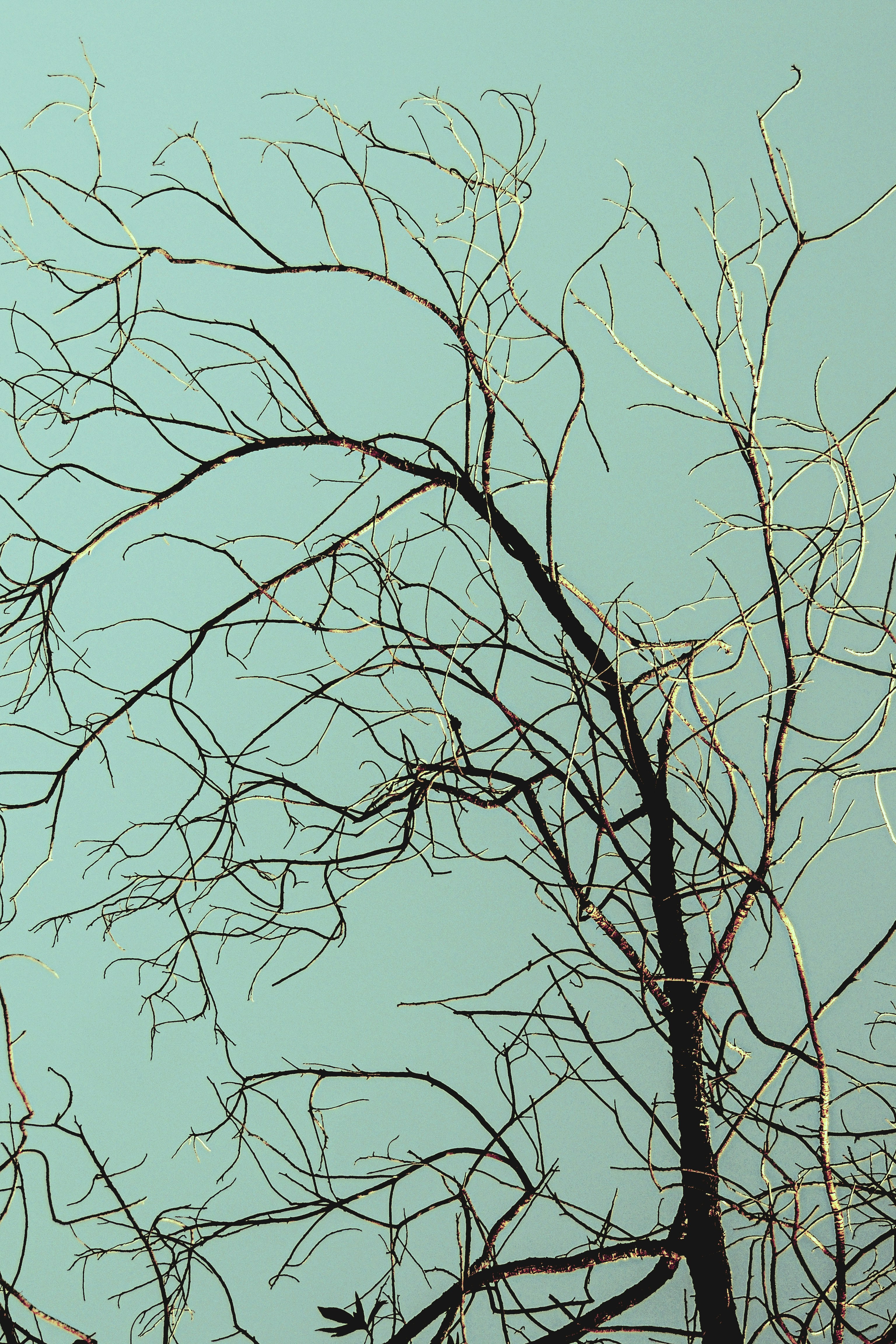 Photo by qurratulayin