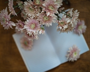 a bunch of flowers sitting on top of an open book