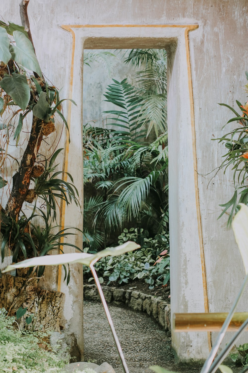 an open door leading to a lush green garden