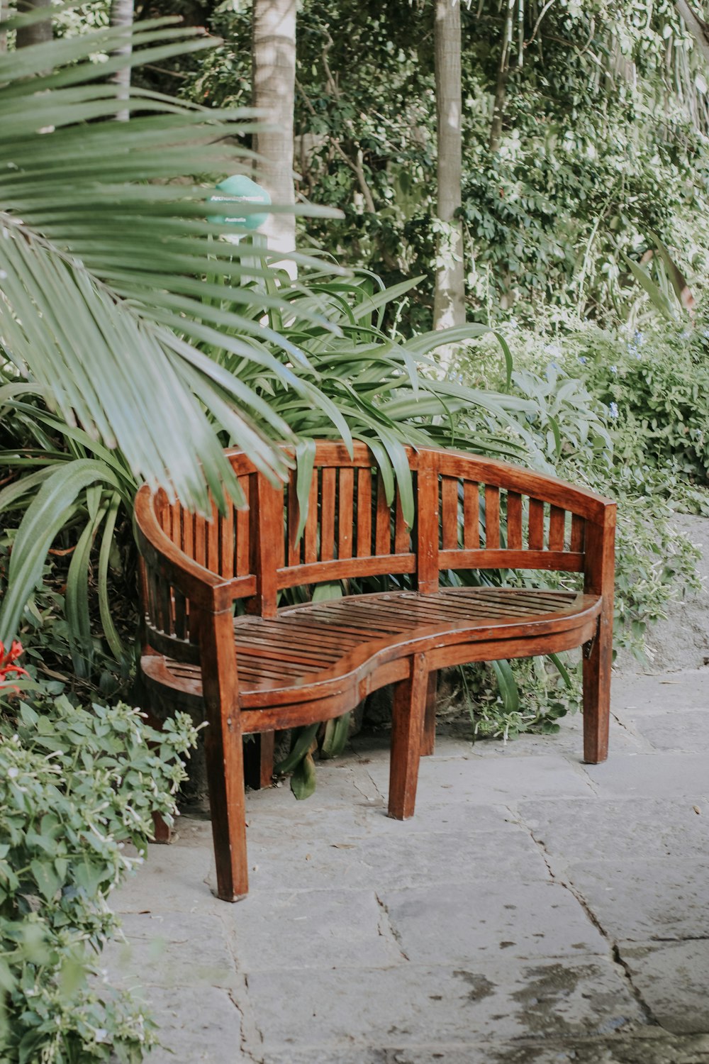 a wooden bench sitting next to a lush green forest