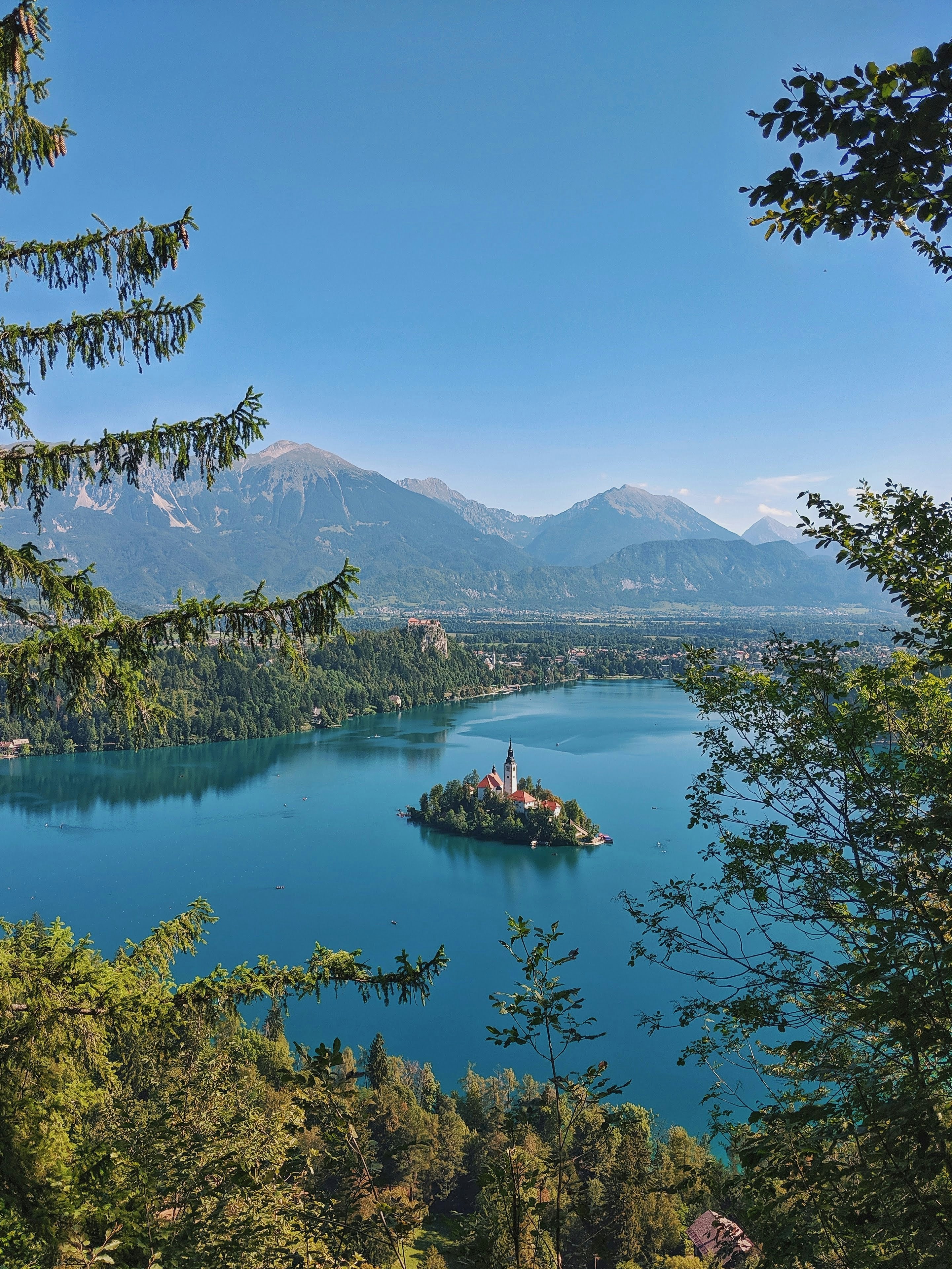 Photo by joaomncsanfins