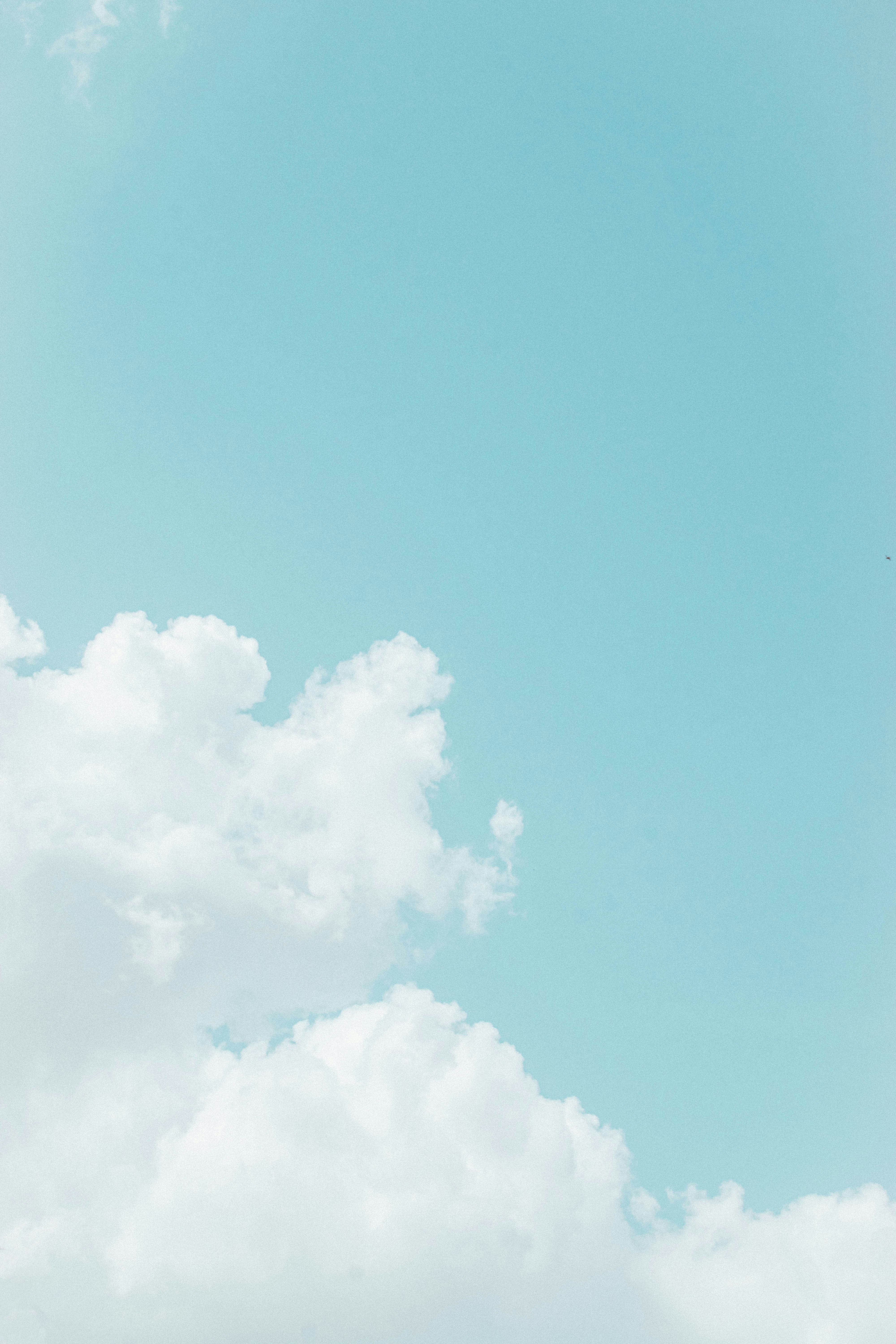 Photo by tirthkesharia