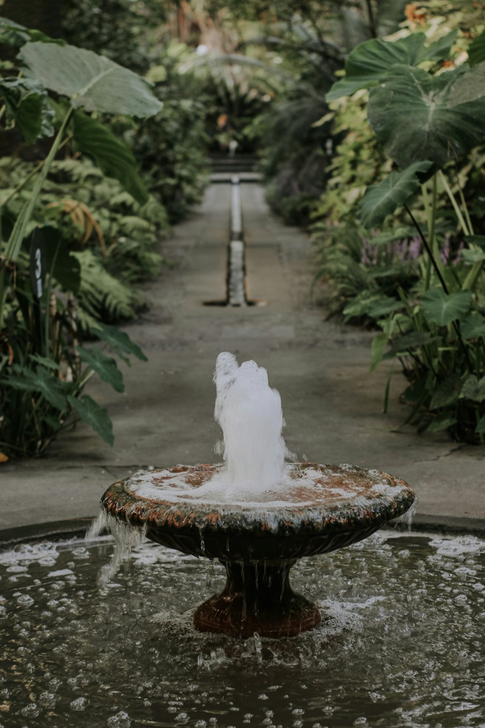 a water fountain in a garden filled with lots of plants