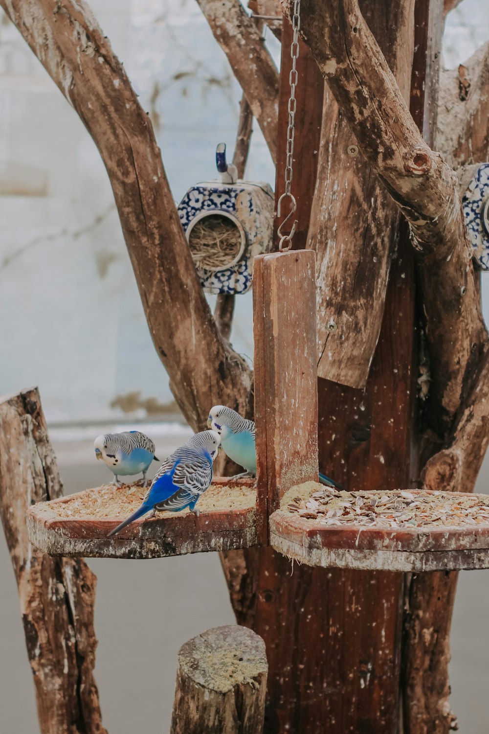 a couple of birds sitting on top of a bird feeder