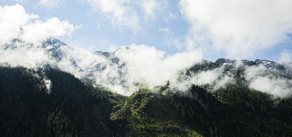 Una catena montuosa coperta di nuvole e alberi