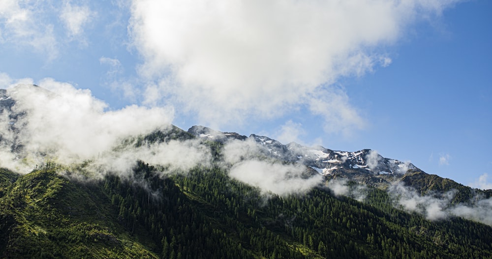 a mountain covered in clouds and trees under a blue sky