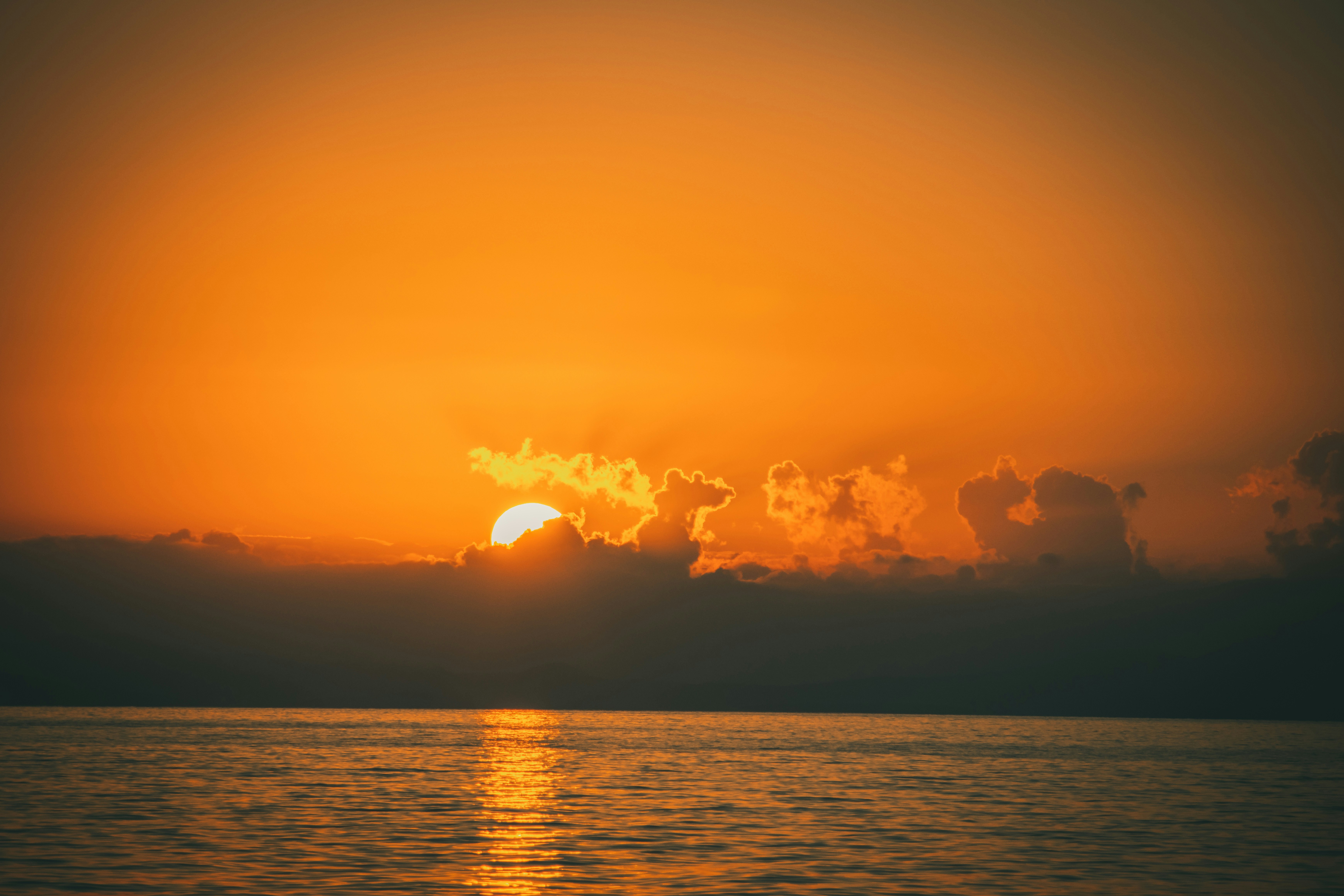 Photo by raimondklavins