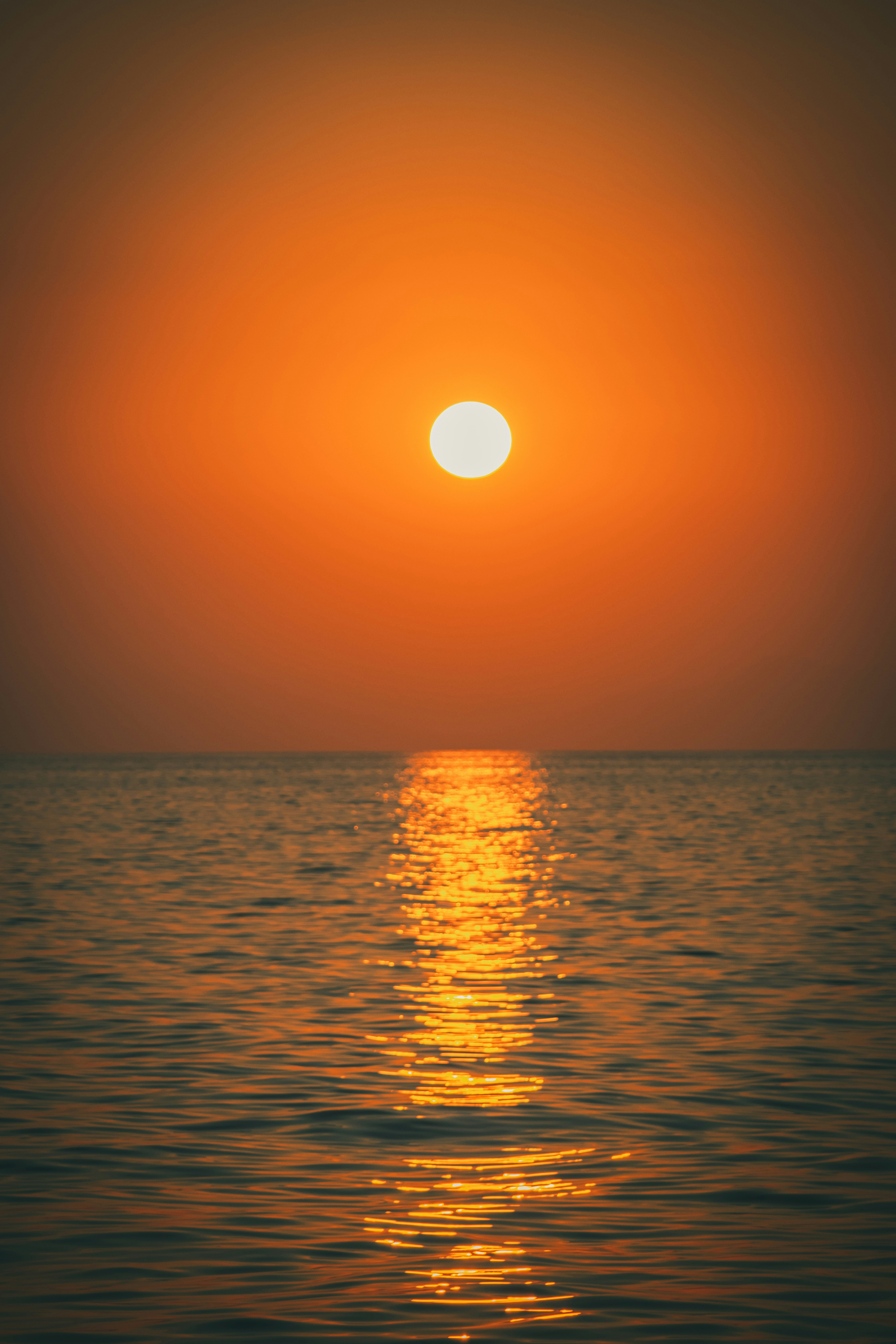 Photo by raimondklavins