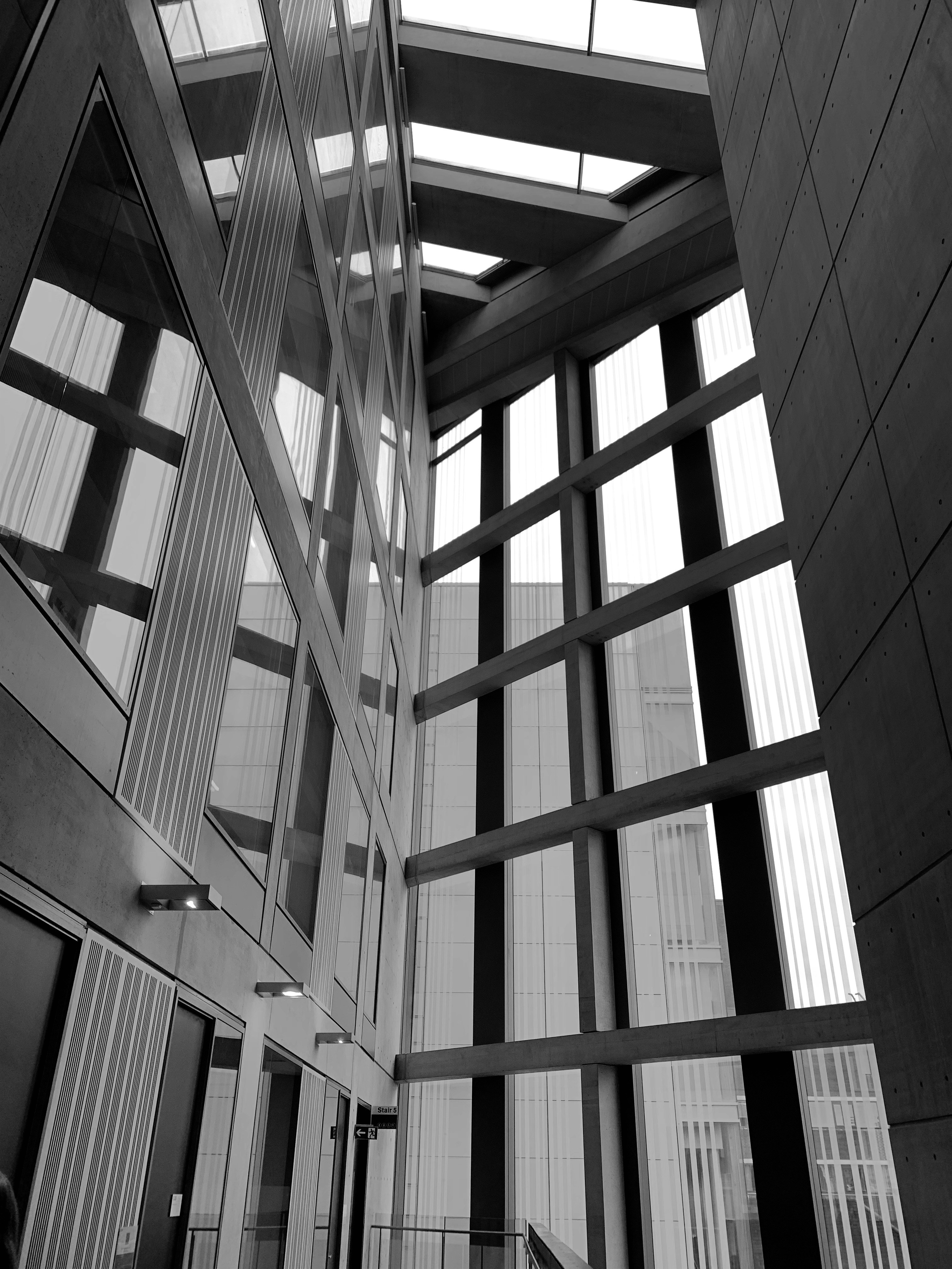 Modern architectural interior with hand-knotted carpet, clean lines, warm natural light from large windows