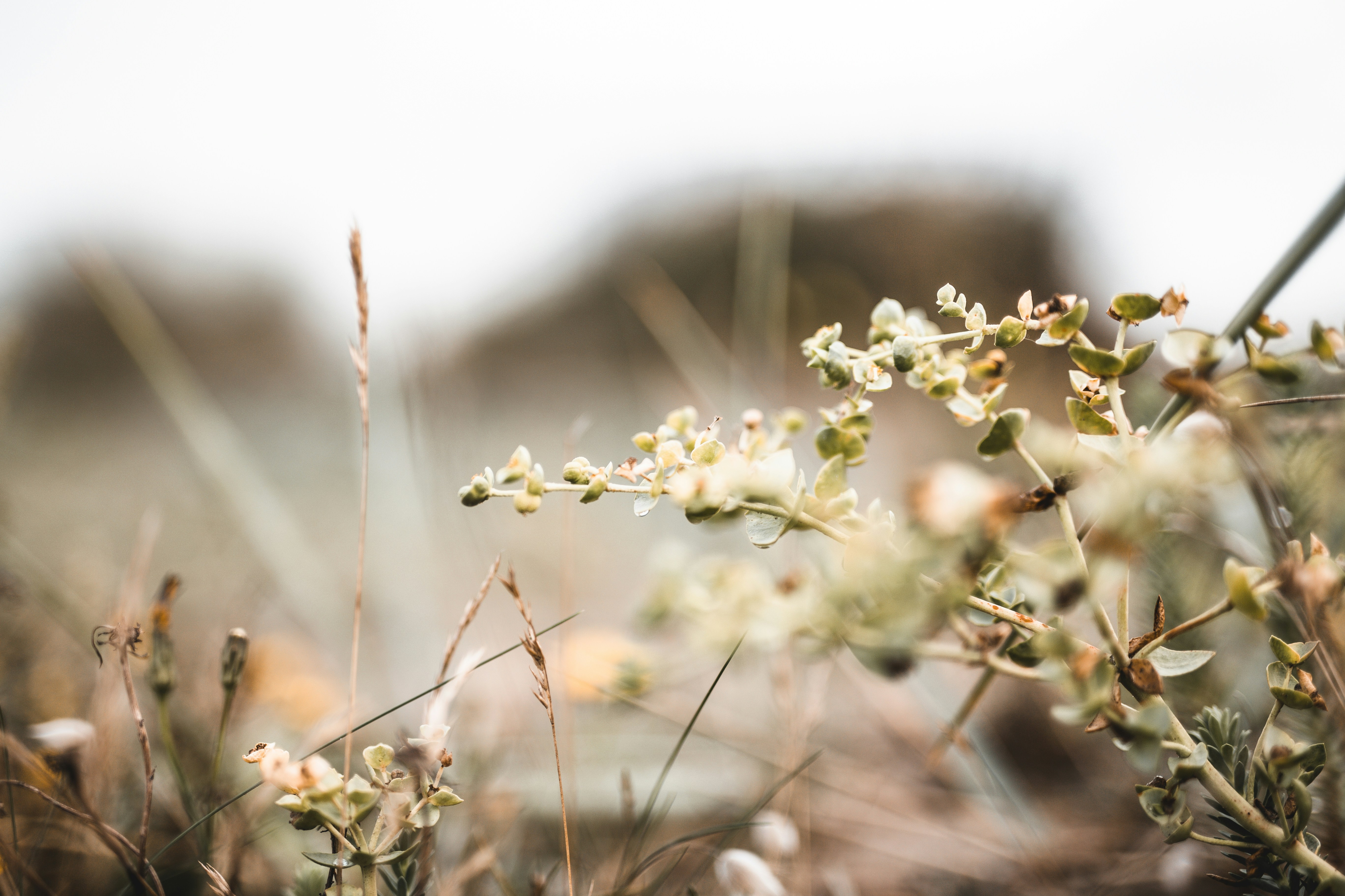 Photo by margauxbebin