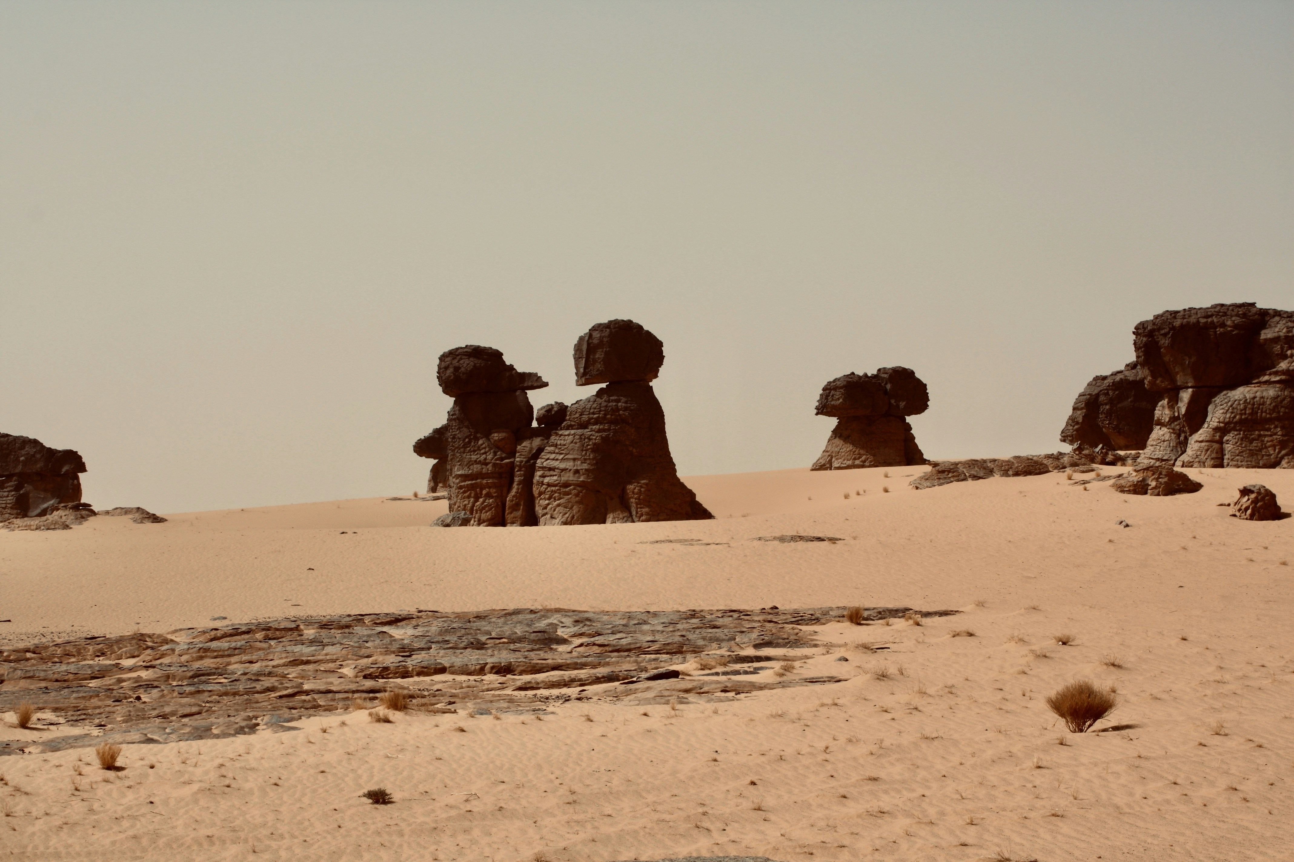 Grüner Wasserstoff aus Algerien rückt näher