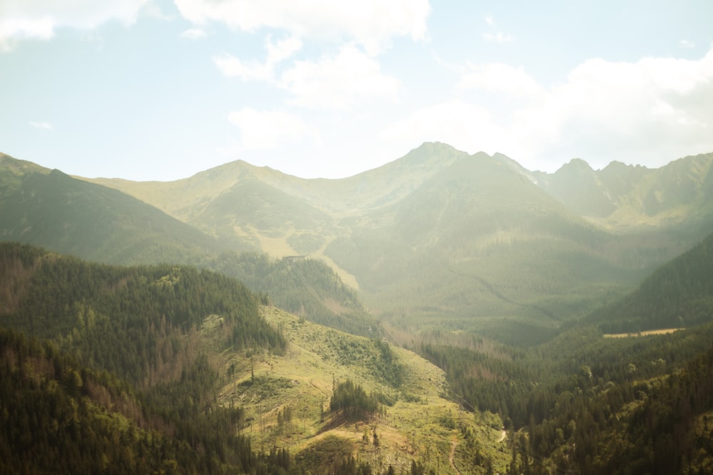 a view of a mountain range with trees in the foreground