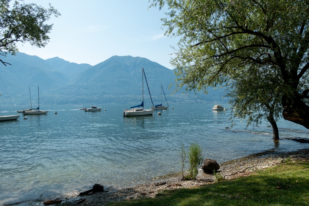 a group of boats floating on top of a lake