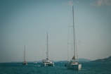 Several sailboats are sailing across a calm ocean with a mountainous coastline in the background. The sky is clear with minimal cloud coverage, and the scene conveys a sense of tranquility and adventure.