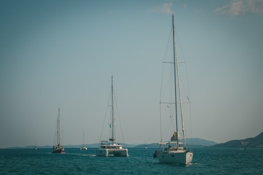 Several sailboats are sailing across a calm ocean with a mountainous coastline in the background. The sky is clear with minimal cloud coverage, and the scene conveys a sense of tranquility and adventure.