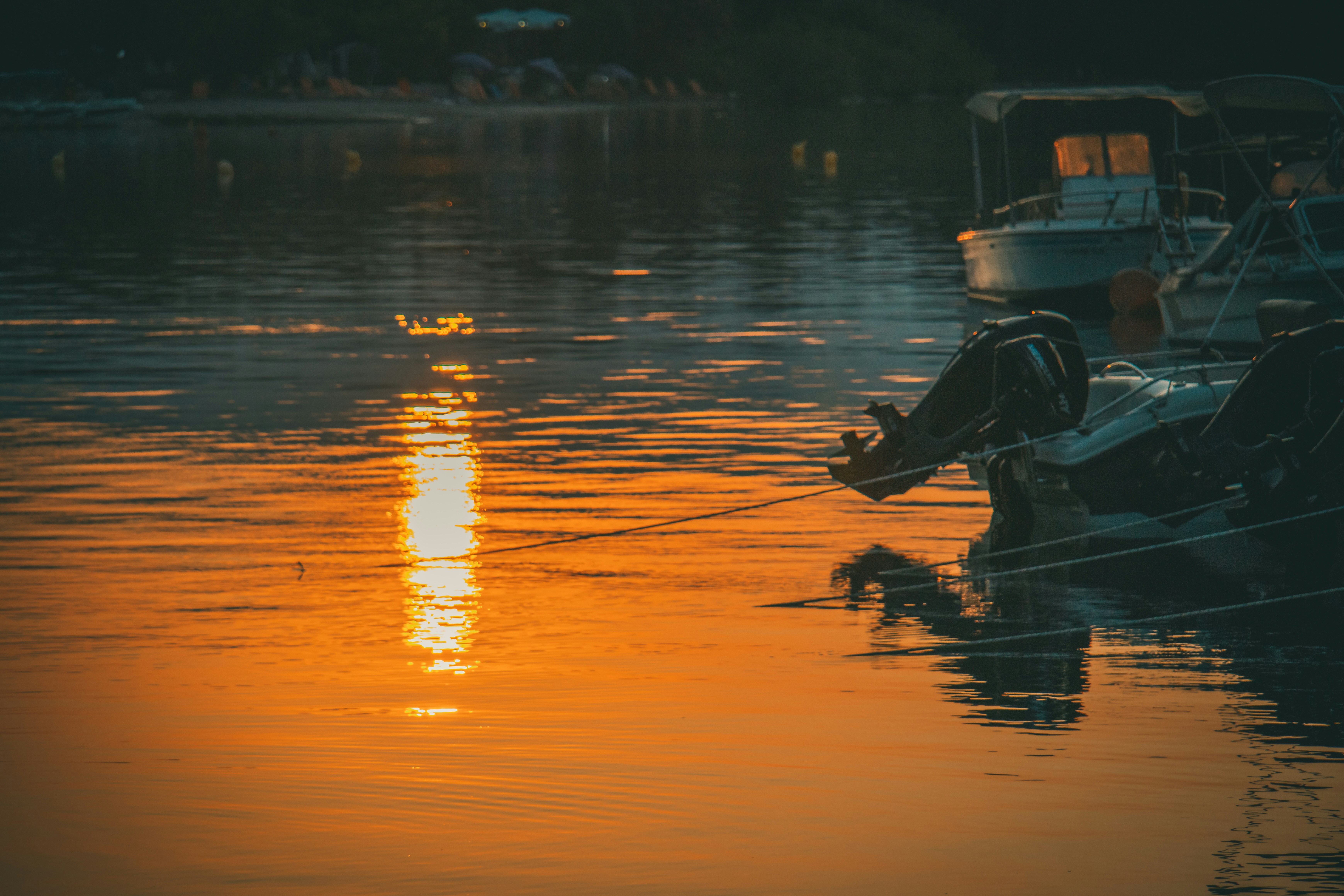 Photo by raimondklavins