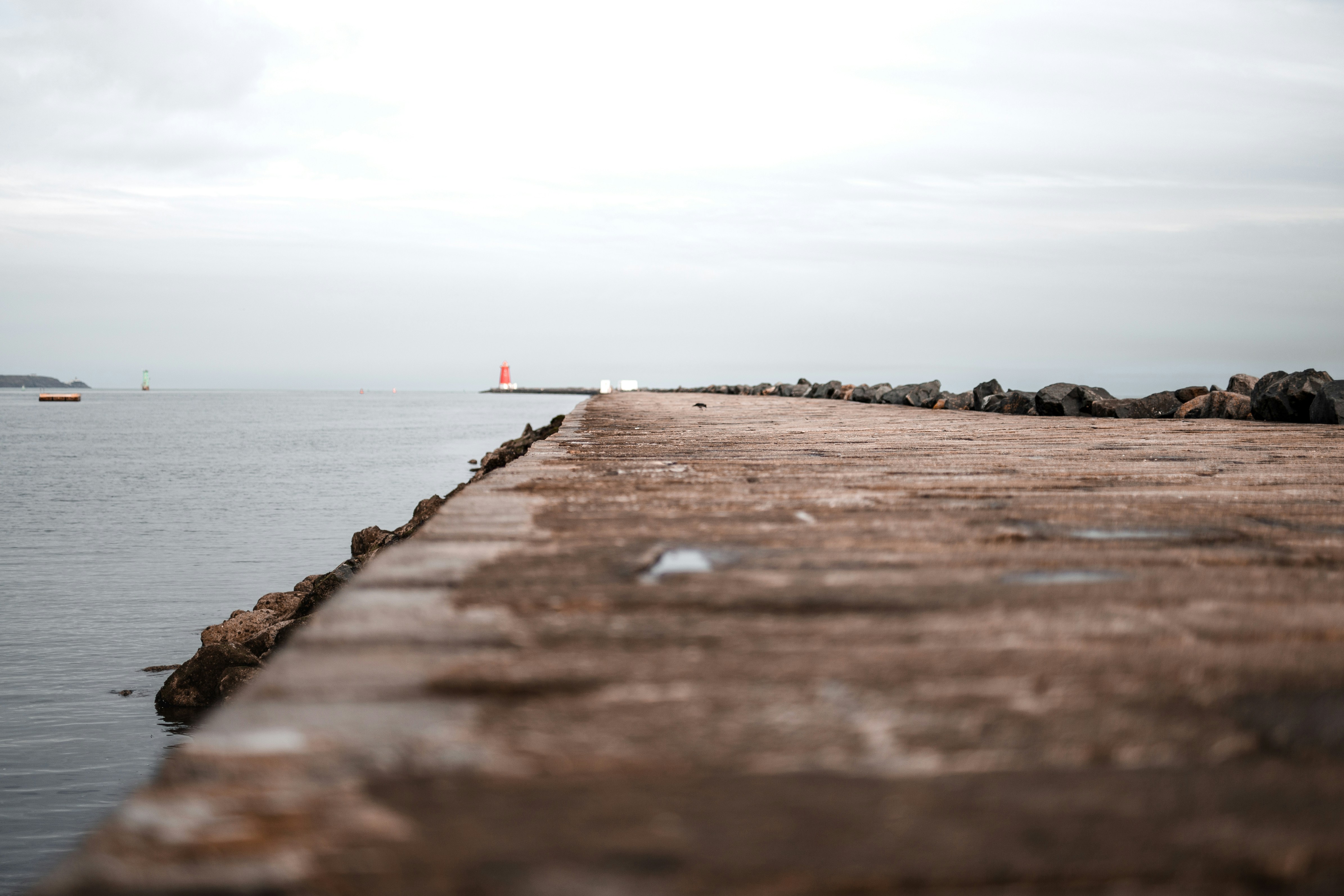 Photo by margauxbebin