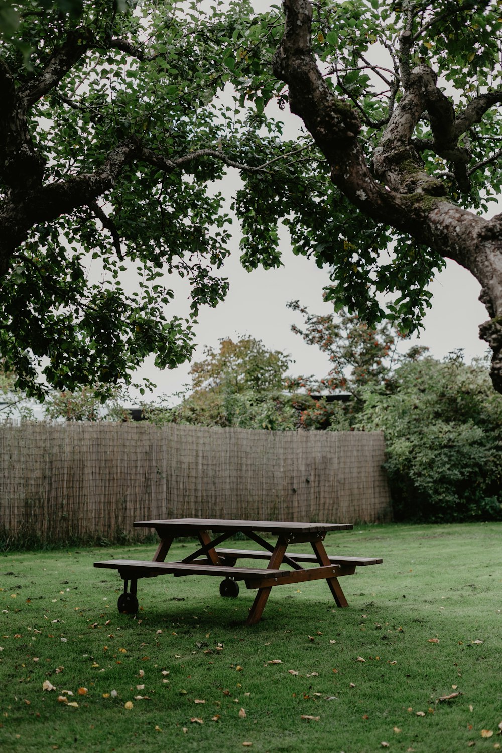 Una mesa de picnic en medio de un patio