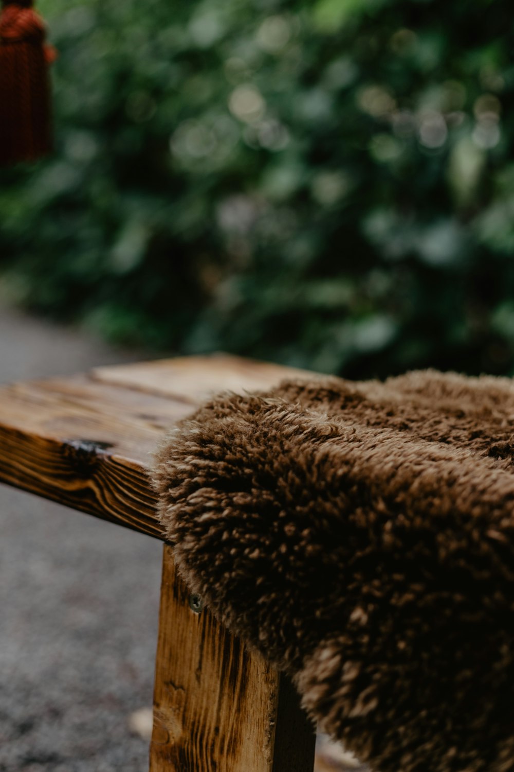 a teddy bear sitting on a wooden bench