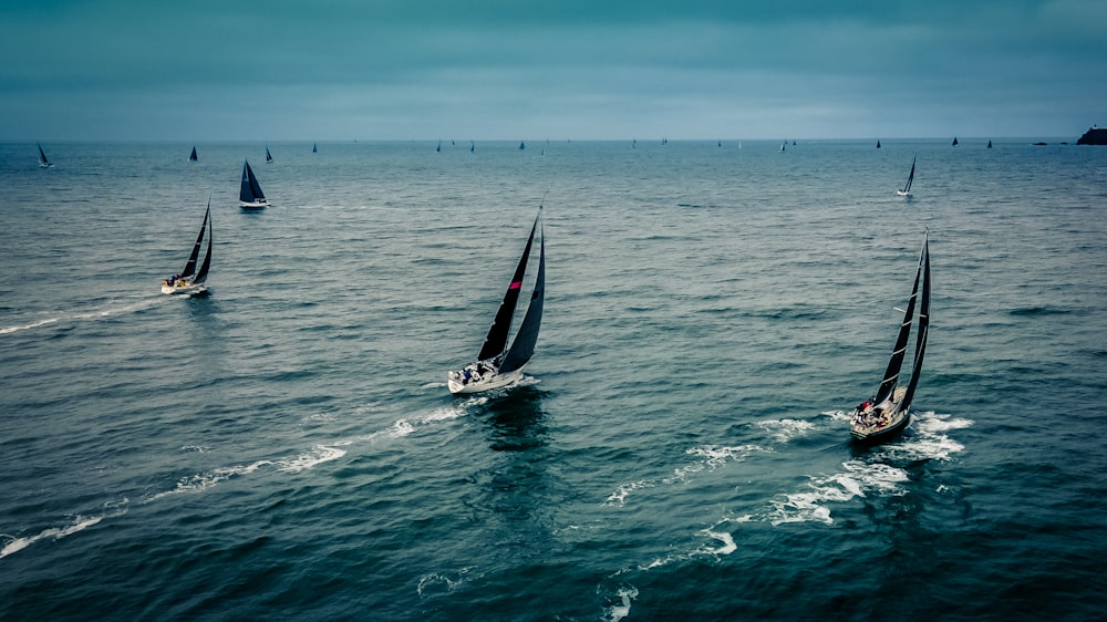 a group of sailboats sailing in the ocean