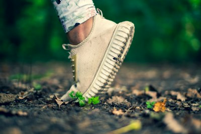 Lifestyle