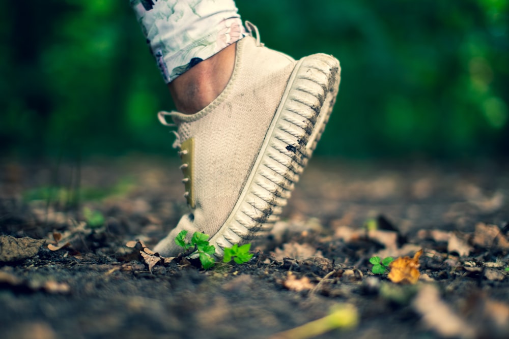 a close up of a person's feet in a pair of sneakers