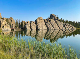 a large body of water surrounded by tall grass