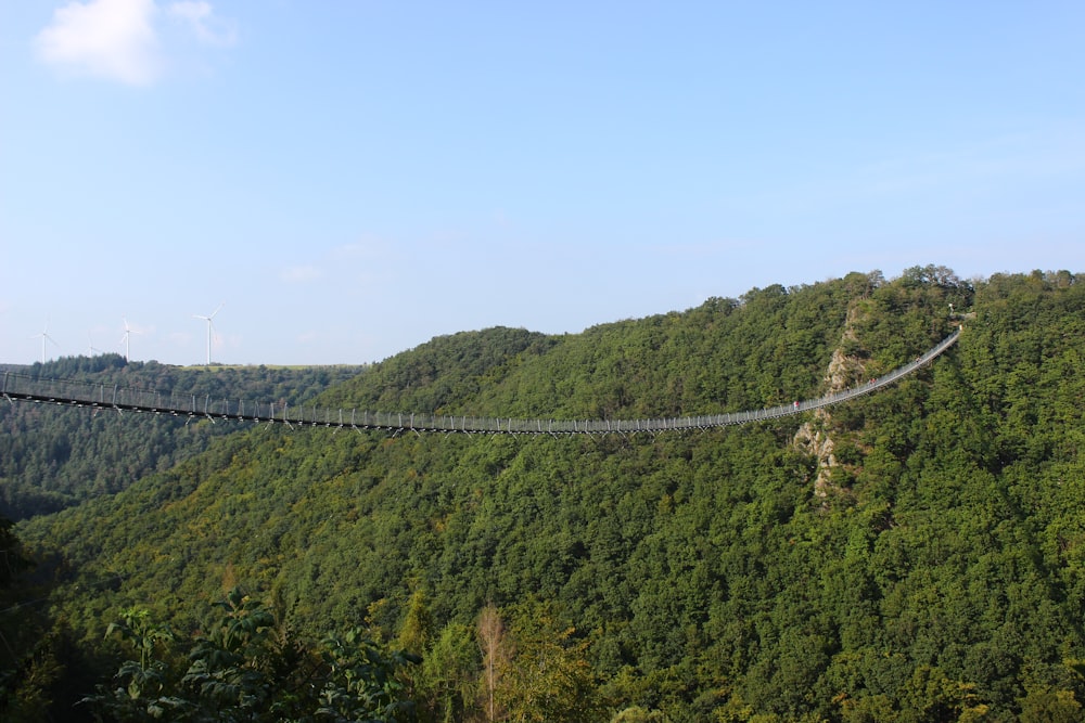 a suspension bridge suspended over a lush green hillside