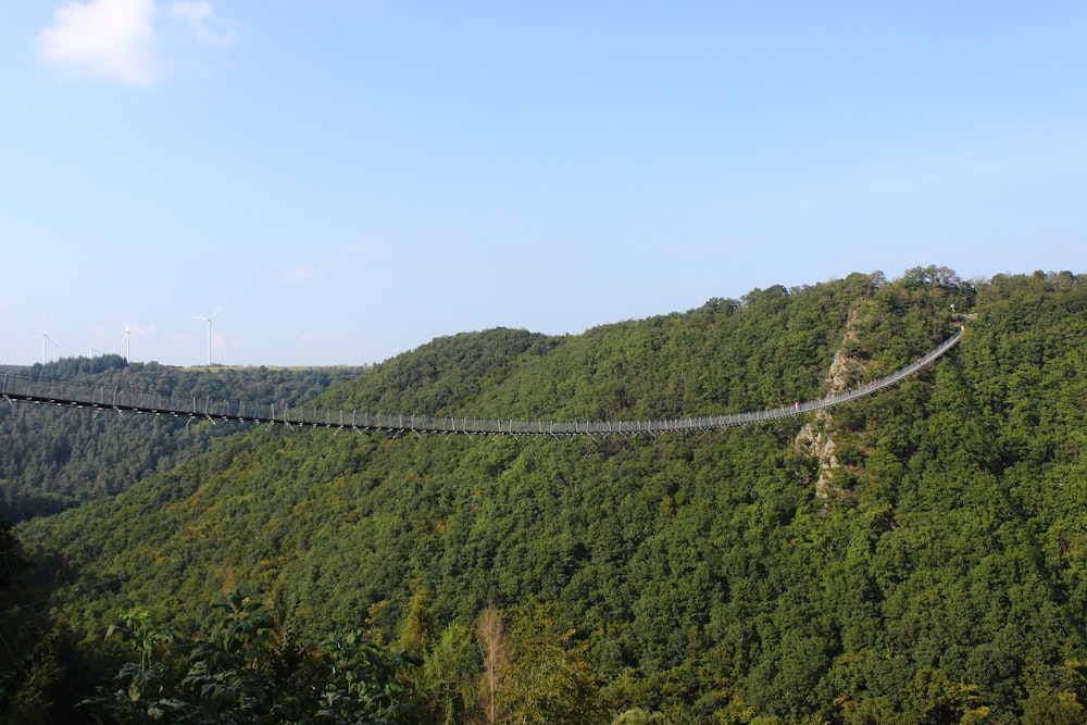 eine Hängebrücke, die über einem üppigen grünen Hügel schwebt