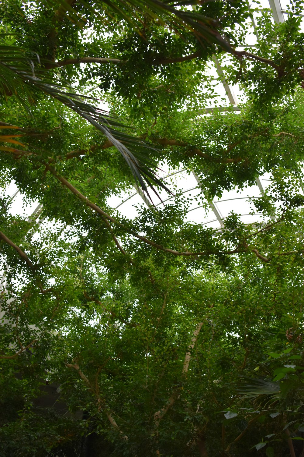 a bird is perched on a tree branch