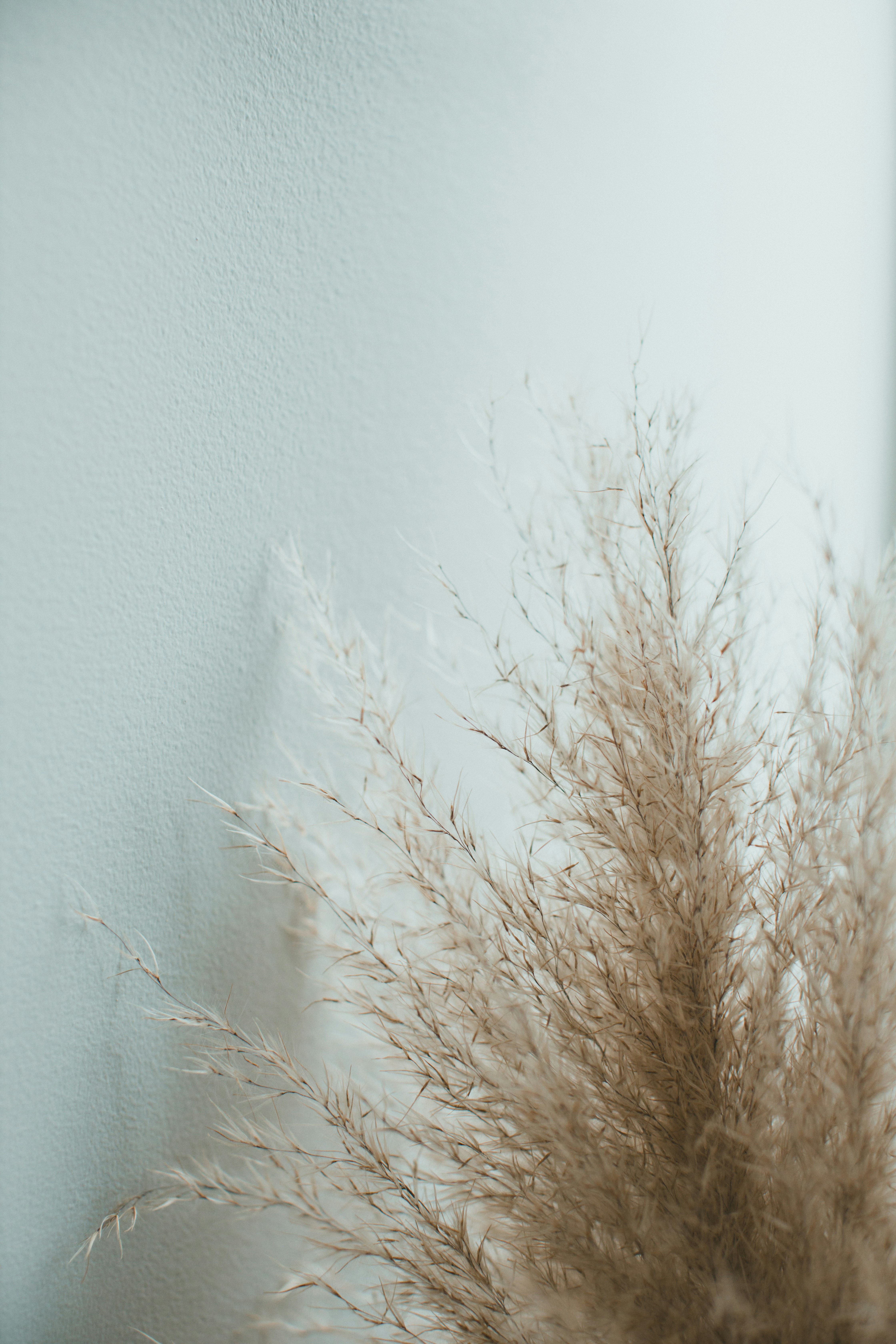 Photo by theshuttervision