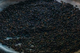 A collection of coffee beans from different roasters spread out on a rustic table.