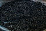 A large collection of coffee beans spread across a surface, with variations in roasting levels visible. The lighting is dim, creating a rich and earthy ambiance.