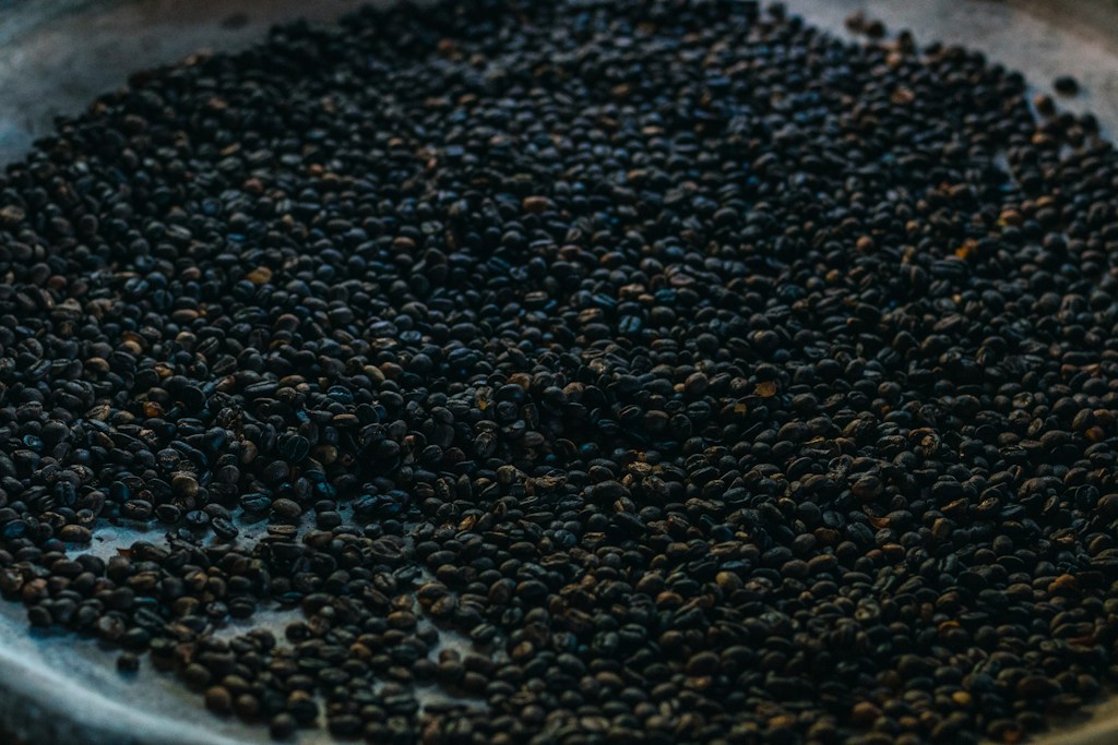 Sidamo Morning Roast