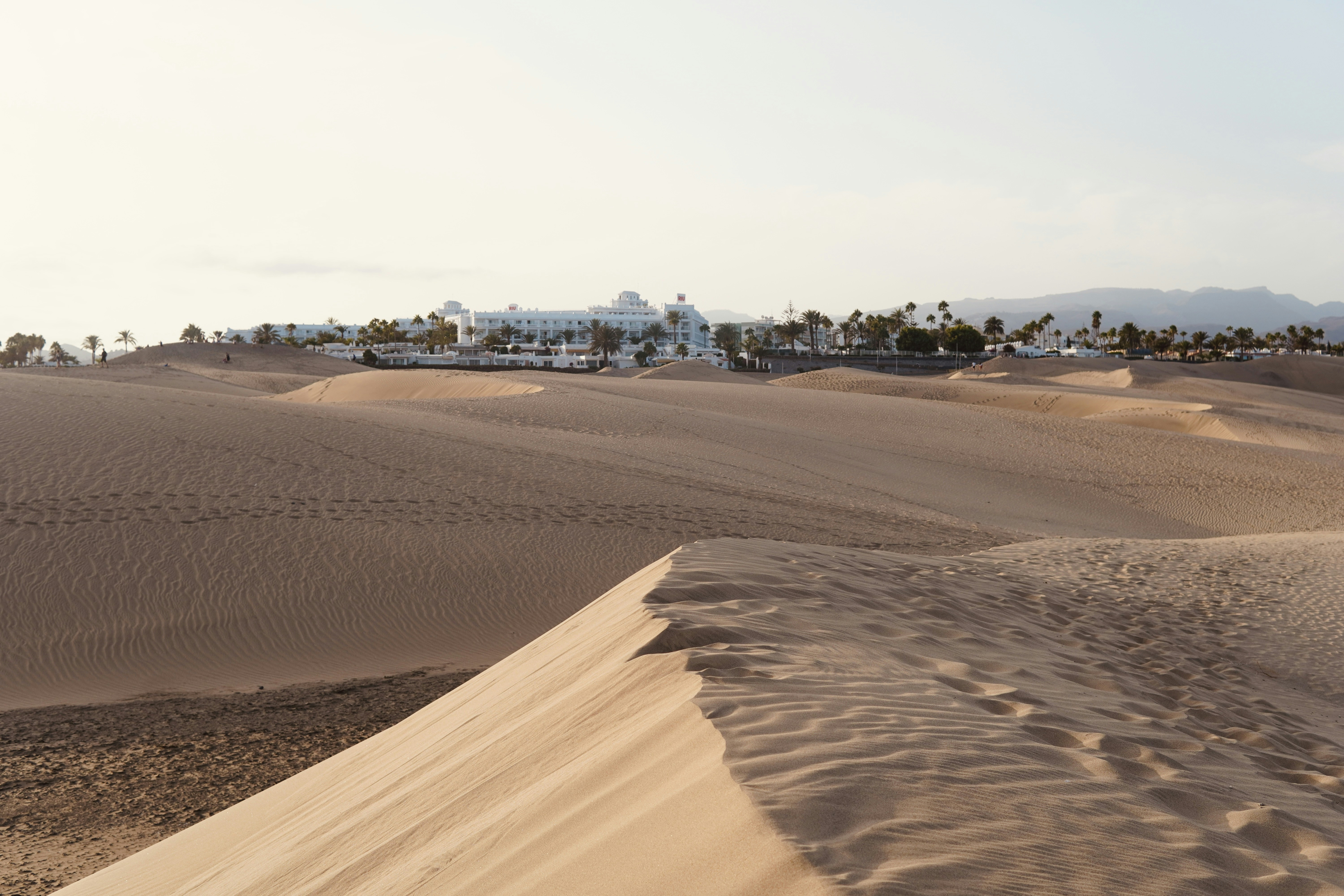 a view of a desert with a building in the distance