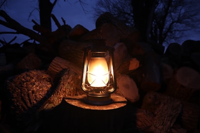 A lantern emits a warm glow, illuminating its immediate surroundings against a backdrop of cut logs. The setting appears to be outdoors at dusk, with silhouetted trees visible in the background sky.