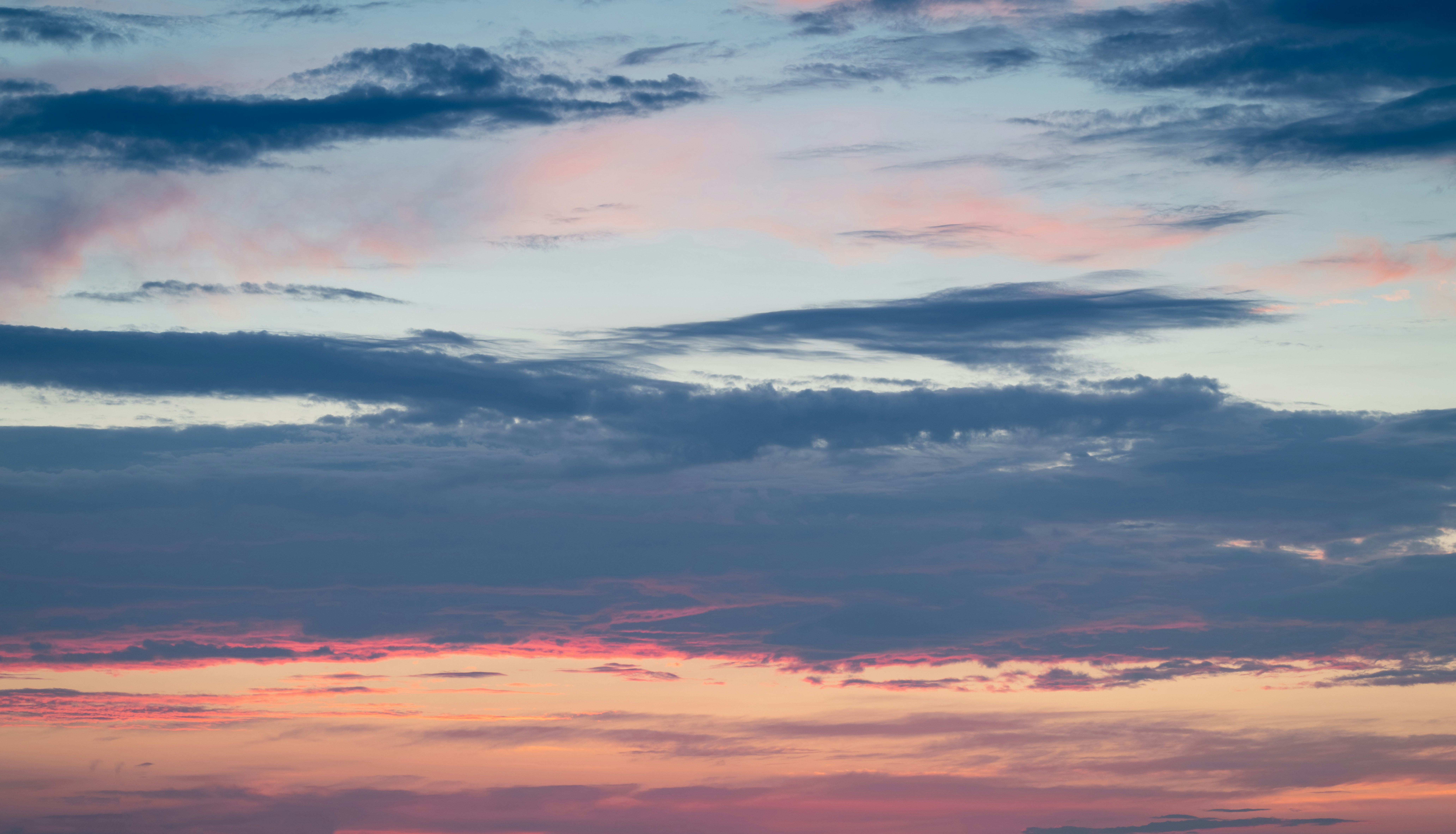 Photo by georgerosema