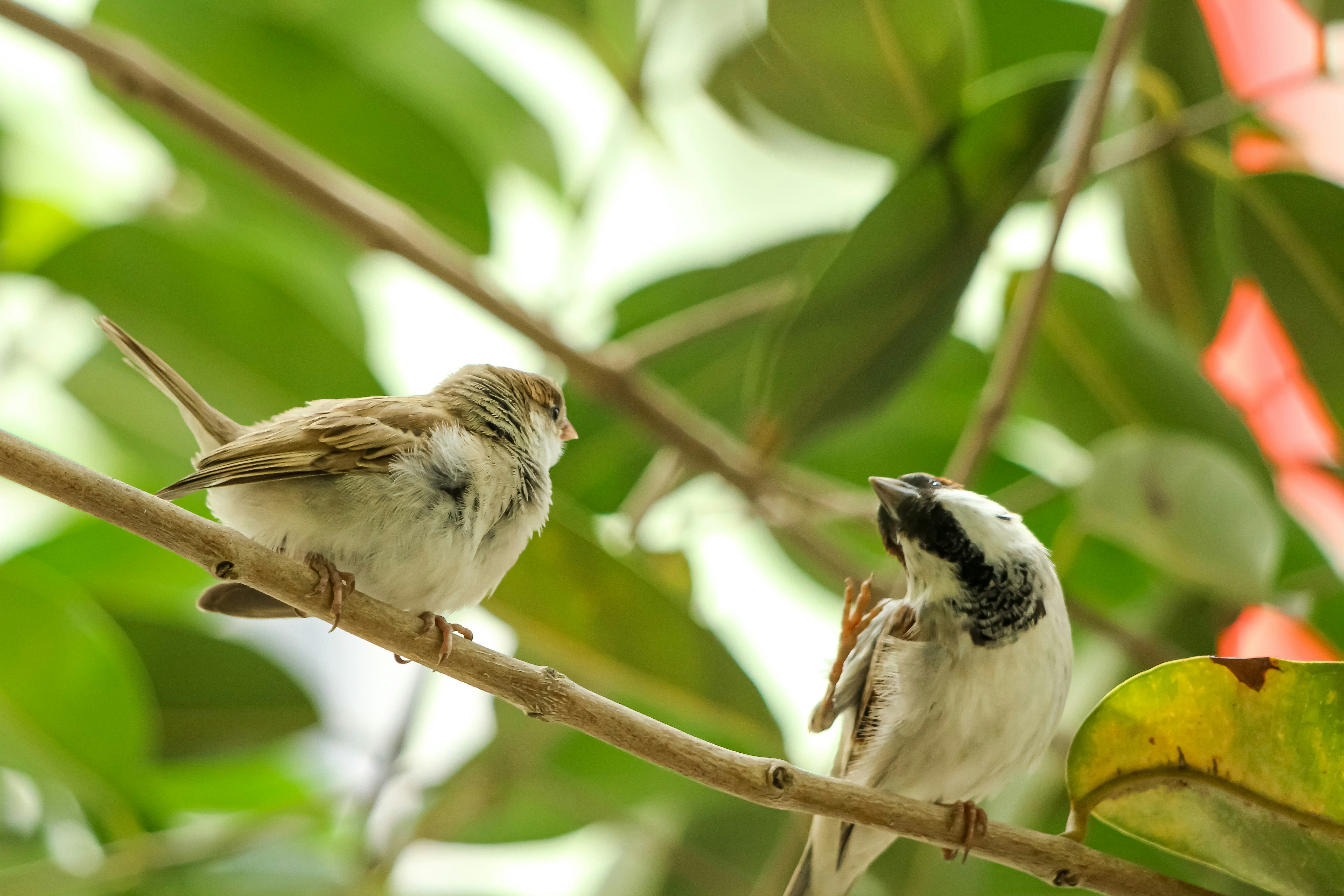 Social Behaviors Influenced by Light and Time (image credits: unsplash)