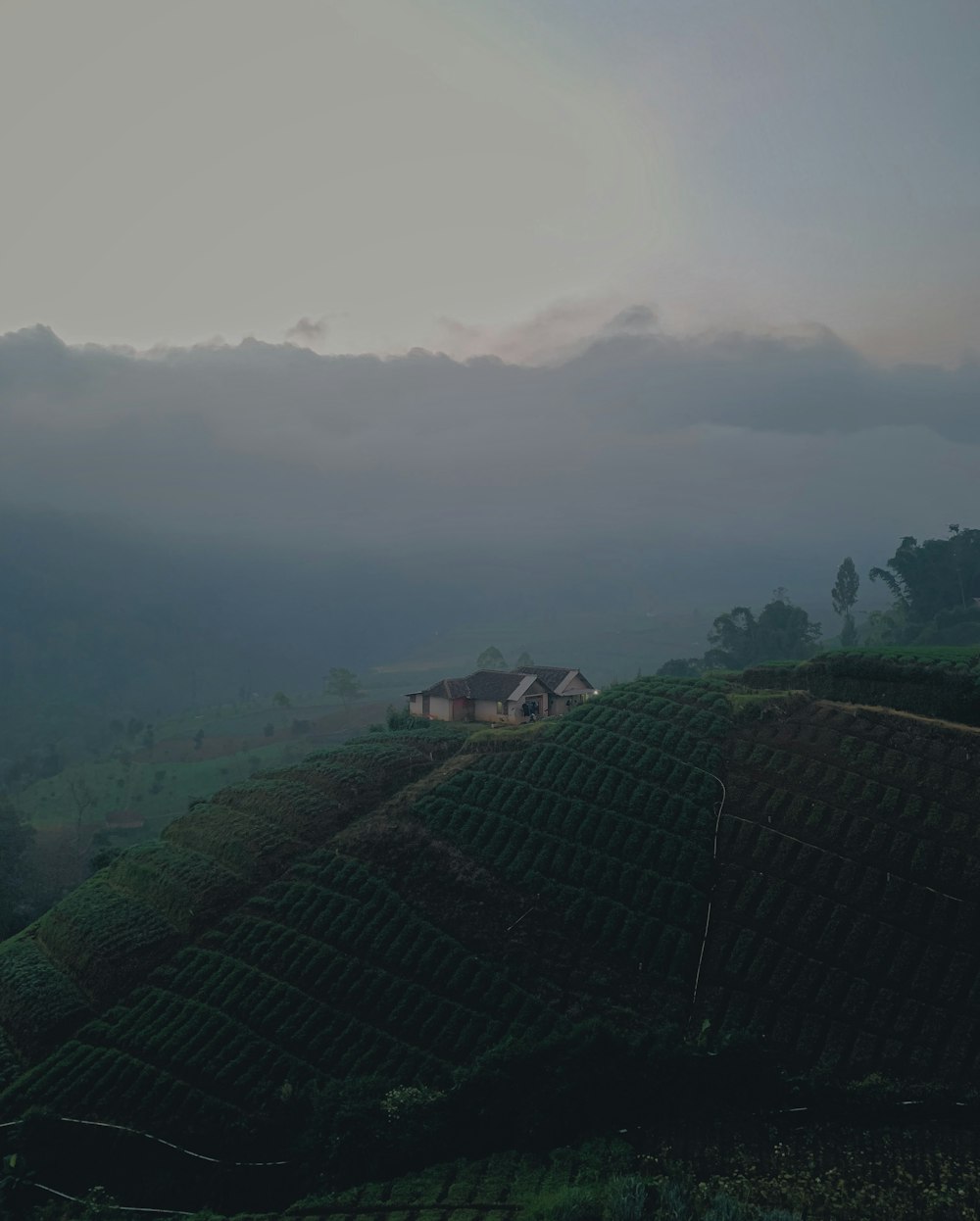 a house on top of a hill surrounded by trees