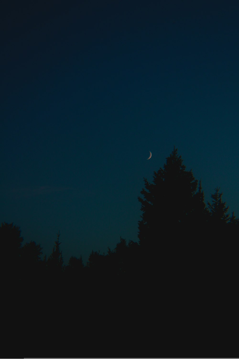 a full moon is seen in the sky above trees