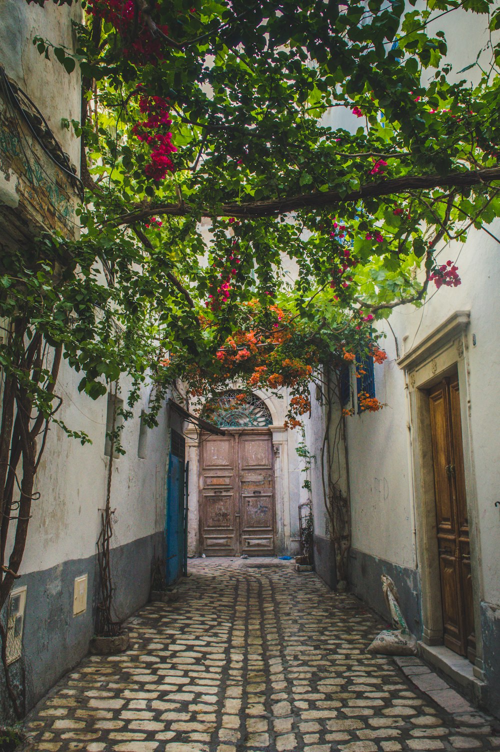 a narrow alleyway with a door and flowers growing on it